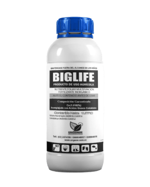 BIGLIFE