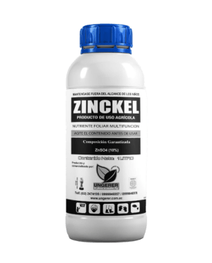 ZINCKEL