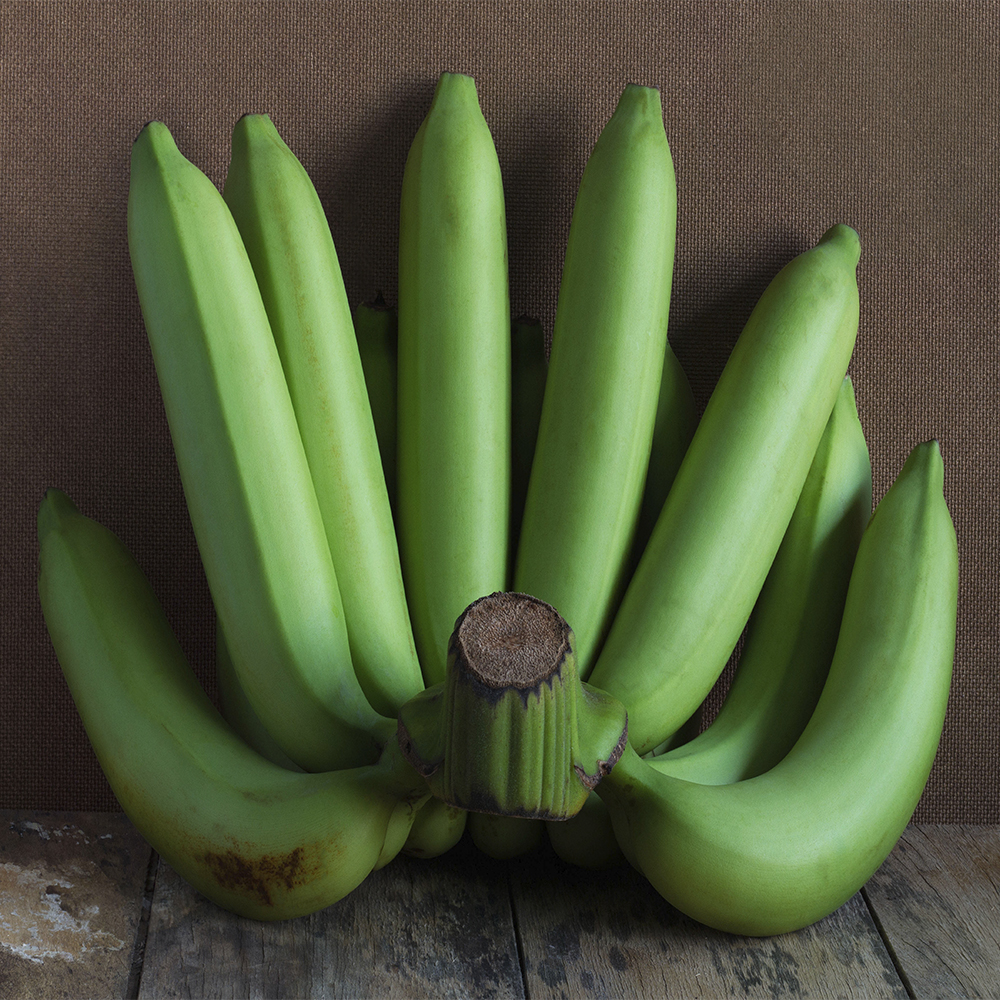 🥇 One of the top banana companies that cares for your health ANPRO